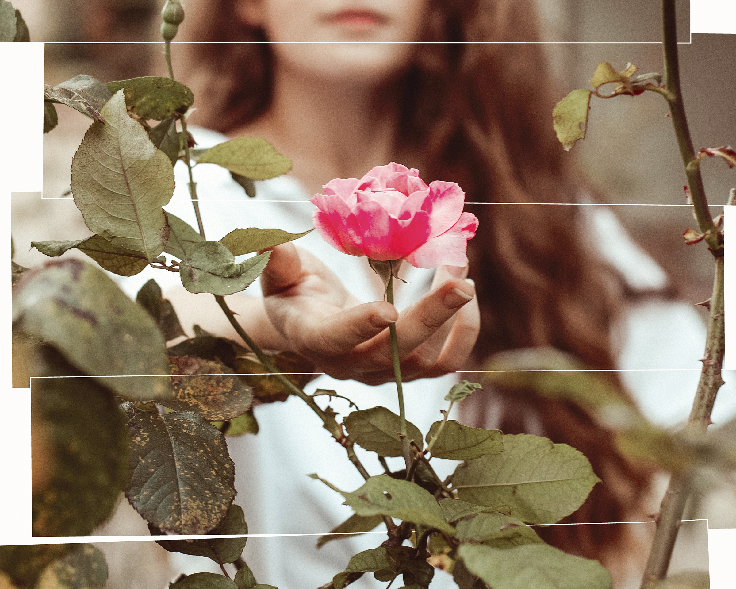 Recorte para ver el detalle en 3D de la lámina decorativa o Print de una chica cogiendo una rosa en un parque